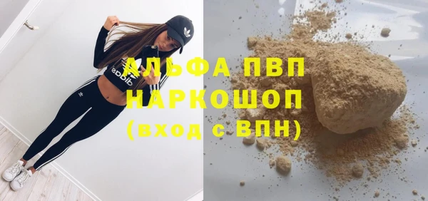 сатива Каменногорск