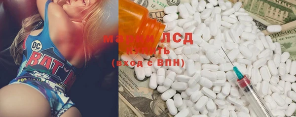 сатива Каменногорск