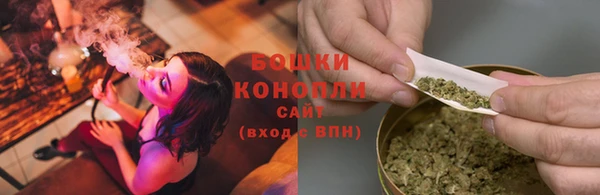 сатива Каменногорск