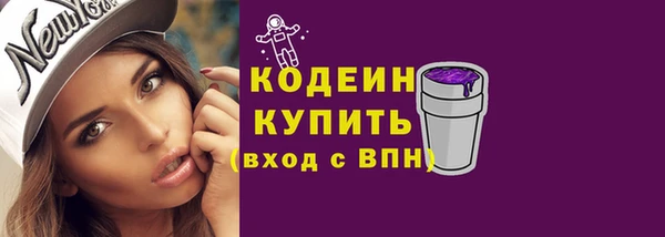 прущие крисы Новозыбков