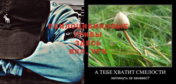 бутират Каменка