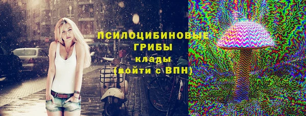 сатива Каменногорск