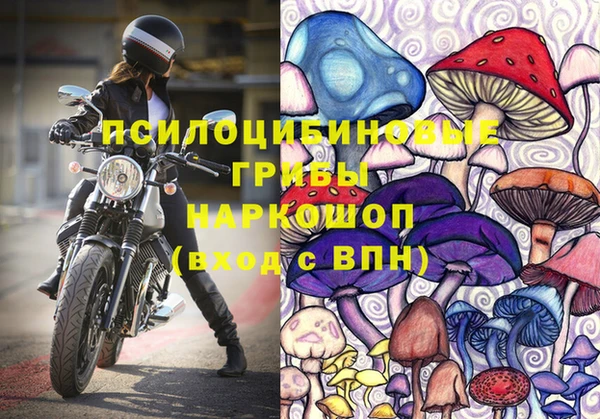 сатива Каменногорск